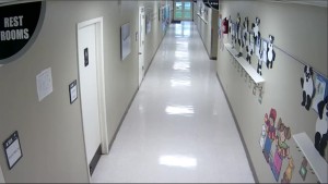 brentwood case study 1 300x169 - brentwood-case-study-1