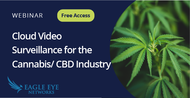 Cloud Video Surveillance for Cannabis Industry