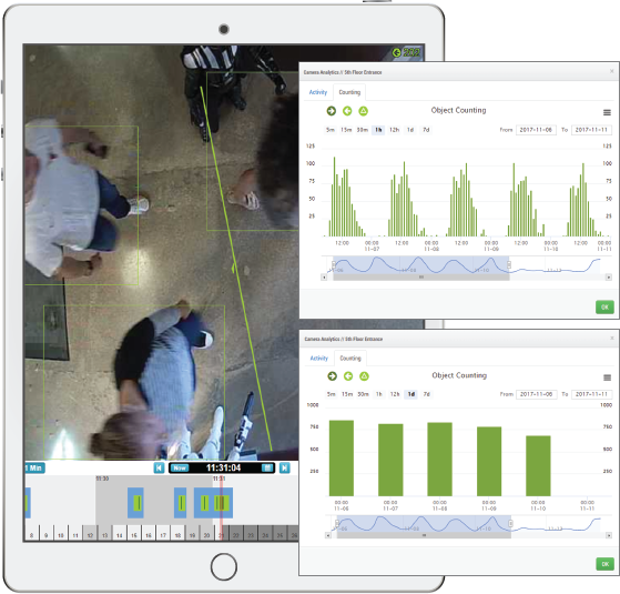 Video Analytics Object Counting